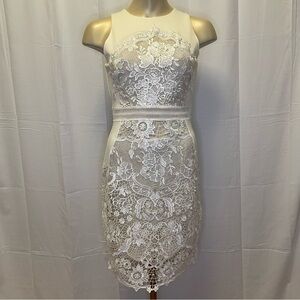 James Coviello for Anthropologie lace dress.